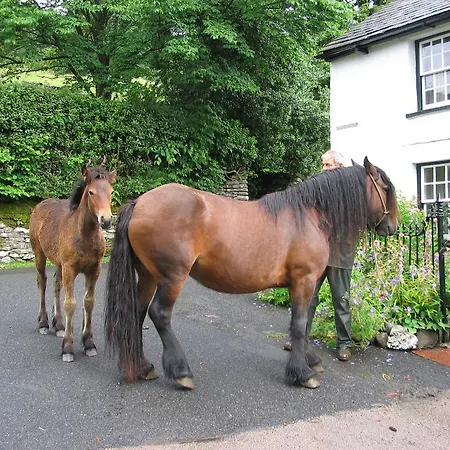 Гостевой дом High Fold