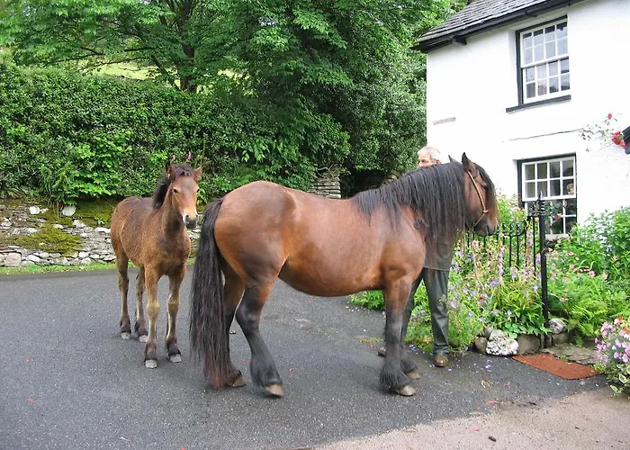 בית הארחה High Fold
