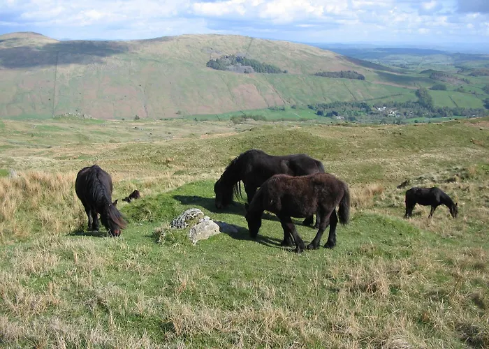 High Fold Troutbeck (South Lakeland)