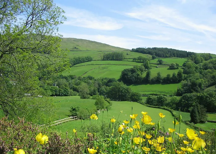 High Fold בית הארחה 4*